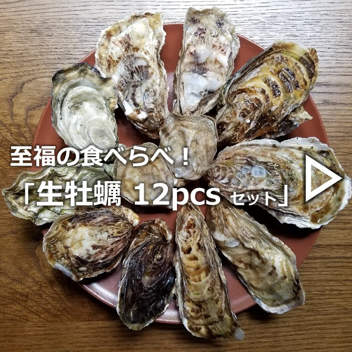 24 oysters set